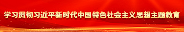 用鸡巴艹女生的逼视频下载学习贯彻习近平新时代中国特色社会主义思想主题教育