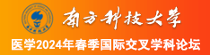 大吊插大b免费在线观看南方科技大学医学2024年春季国际交叉学科论坛